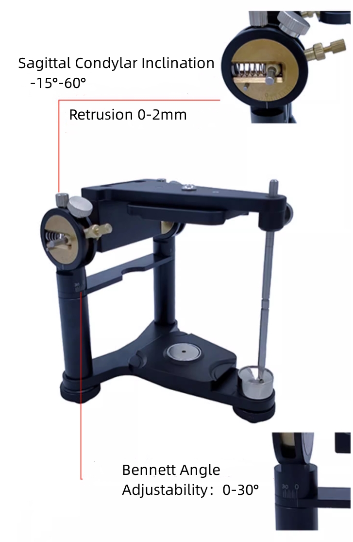 What Is A Fully Adjustable Articulator? March 2024